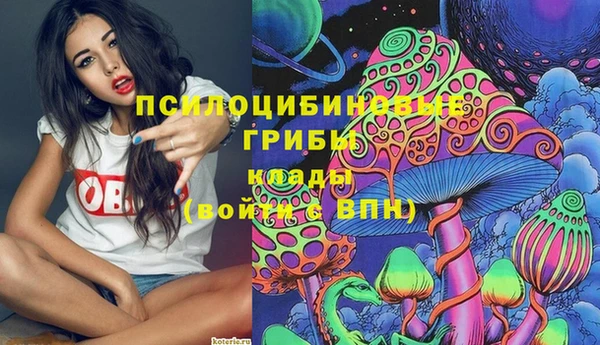 метамфетамин Козловка