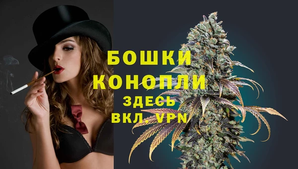 сатива Киренск