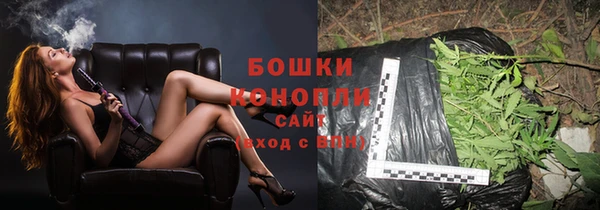 стаф Осинники